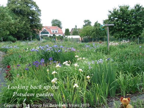 OW G18 Looking back up the Potsdam grden